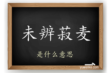 未辨菽麦