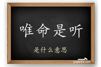 唯命是听