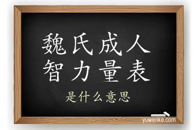 魏氏成人智力量表