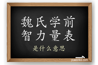 魏氏学前智力量表