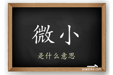 微小