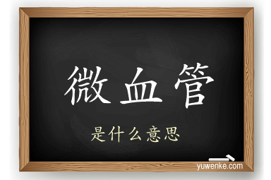 微血管