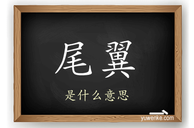 尾翼