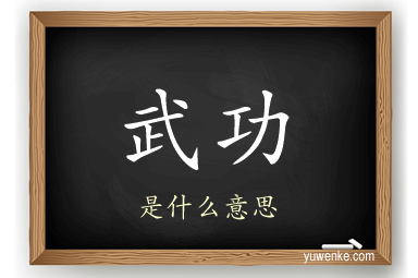 武功