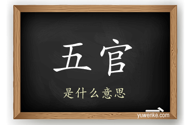 五官