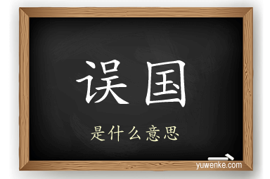 误国