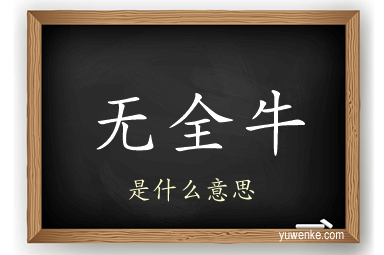 无全牛