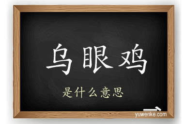 乌眼鸡