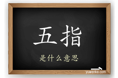 五指