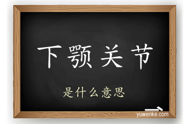 下颚关节