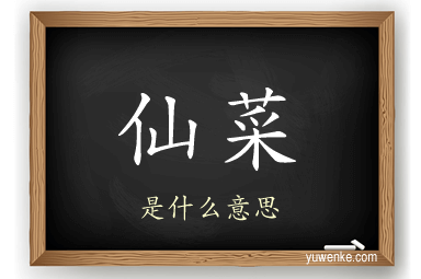 仙菜
