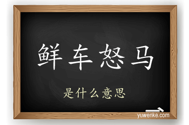 鲜车怒马