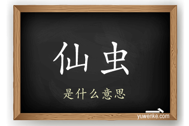 仙虫