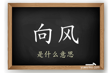 向风