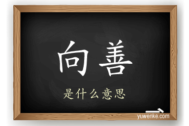 向善
