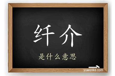 纤介