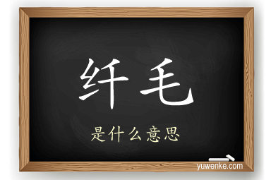 纤毛