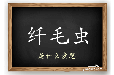 纤毛虫
