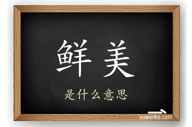 鲜美