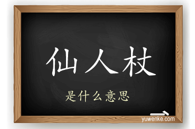 仙人杖