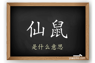 仙鼠