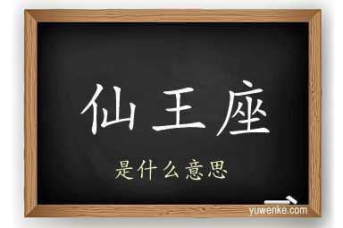 仙王座