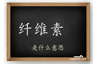 纤维素	