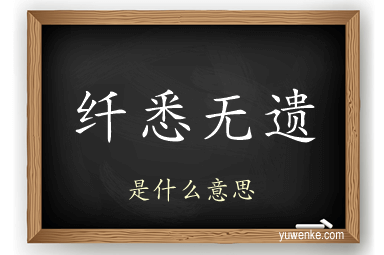 纤悉无遗