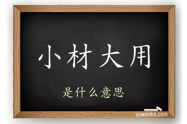 小材大用