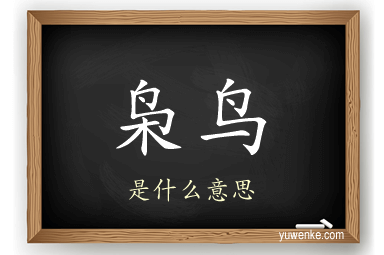 枭鸟