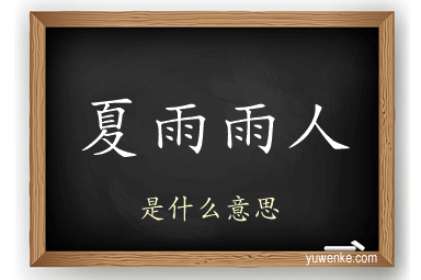 夏雨雨人