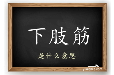 下肢筋