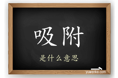 吸附