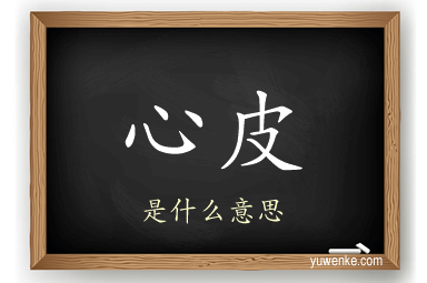 心皮