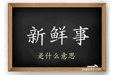 新鲜事