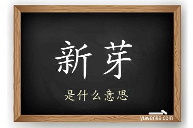 新芽