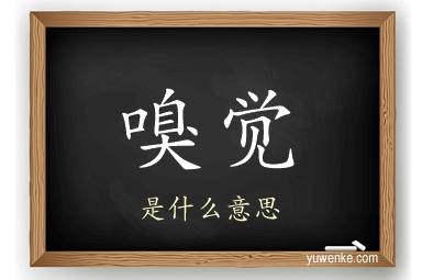 嗅觉