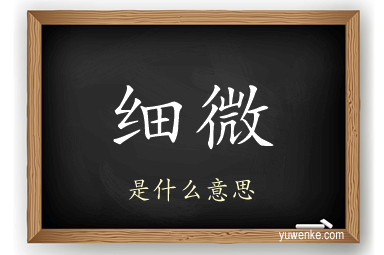 细微