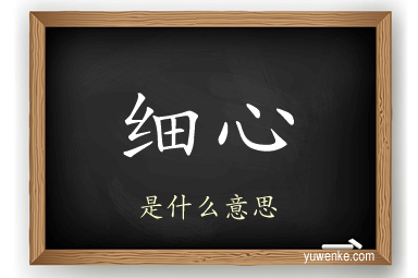 细心