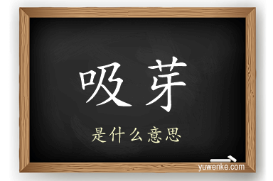 吸芽