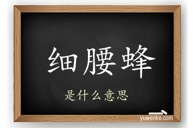 细腰蜂