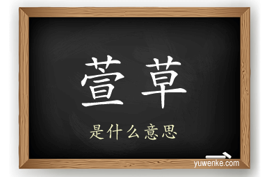 萱草