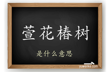 萱花椿树