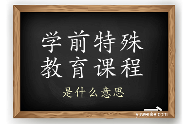学前特殊教育课程