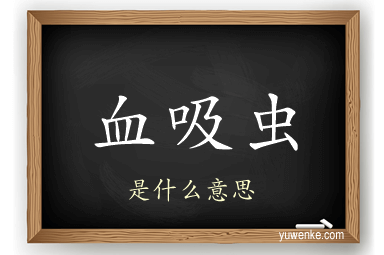 血吸虫