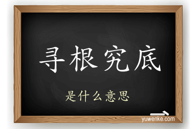 寻根究底