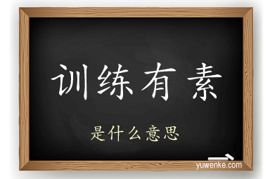 训练有素