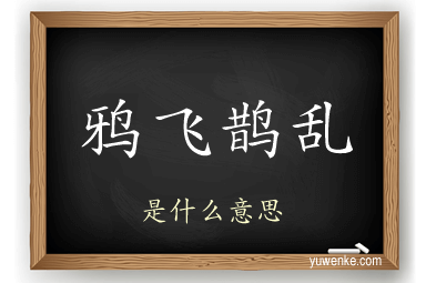鸦飞鹊乱