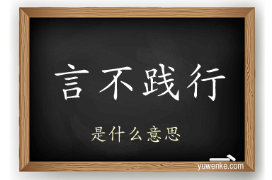 言不践行