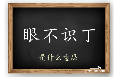 眼不识丁